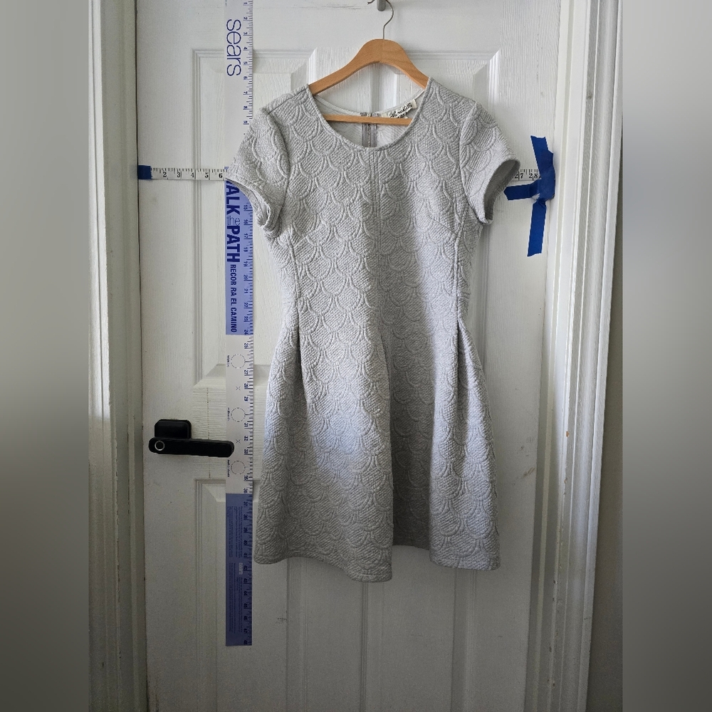 Elegant Gray Womens Skater Dress